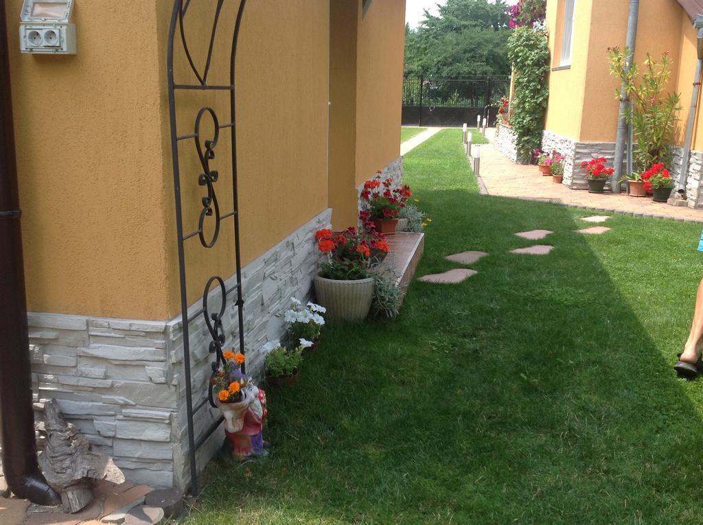 Villa Casa Ioana Haţeg Zimmer foto